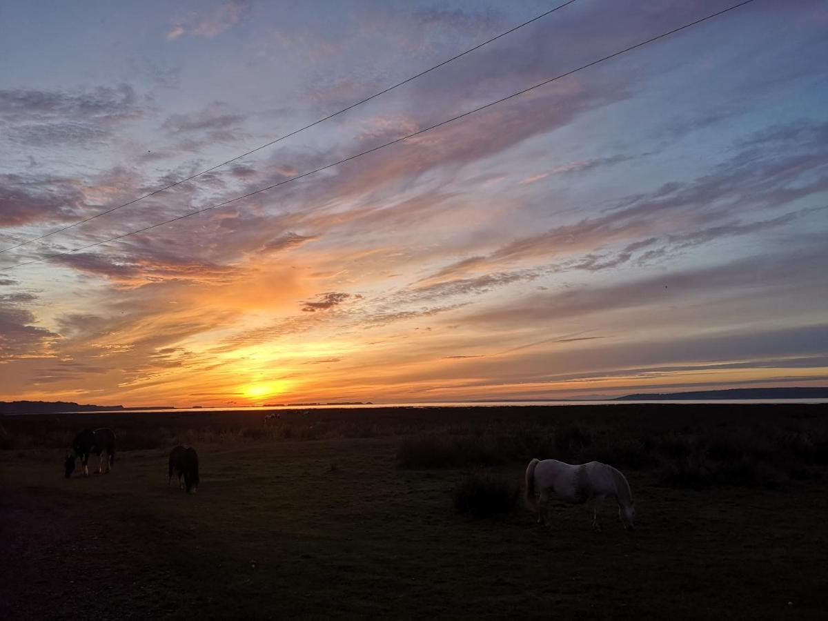 Y Cuddfan Gower Bed & Breakfast Swansea Dış mekan fotoğraf