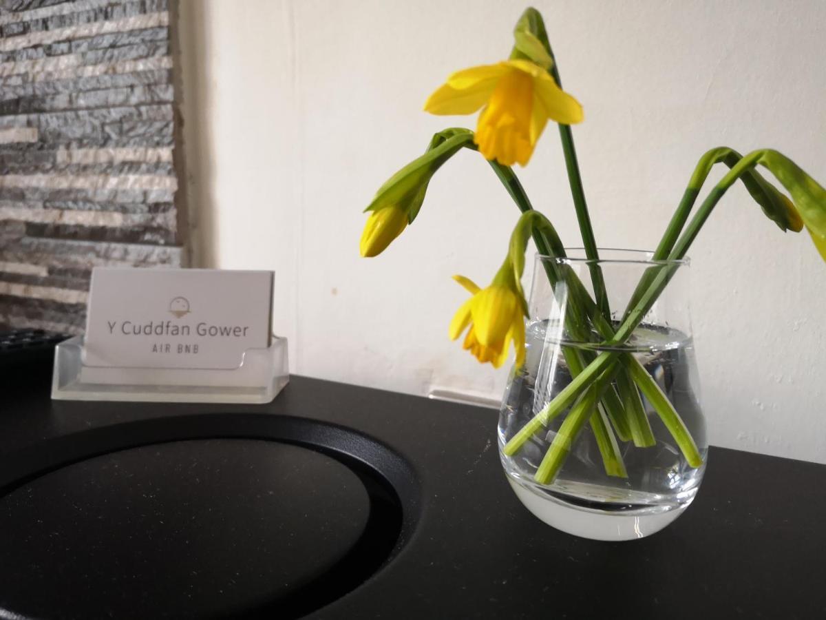 Y Cuddfan Gower Bed & Breakfast Swansea Dış mekan fotoğraf